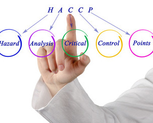 Personale Addetto alla Produzione e Vendita delle sostanze alimentari (HACCP liv 1)