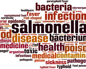 Personale Addetto alla Produzione e Vendita delle sostanze alimentari (HACCP liv 2)
